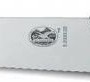 Coltello cucina dentato VICTORINOX